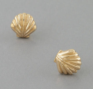 Seashell Stud